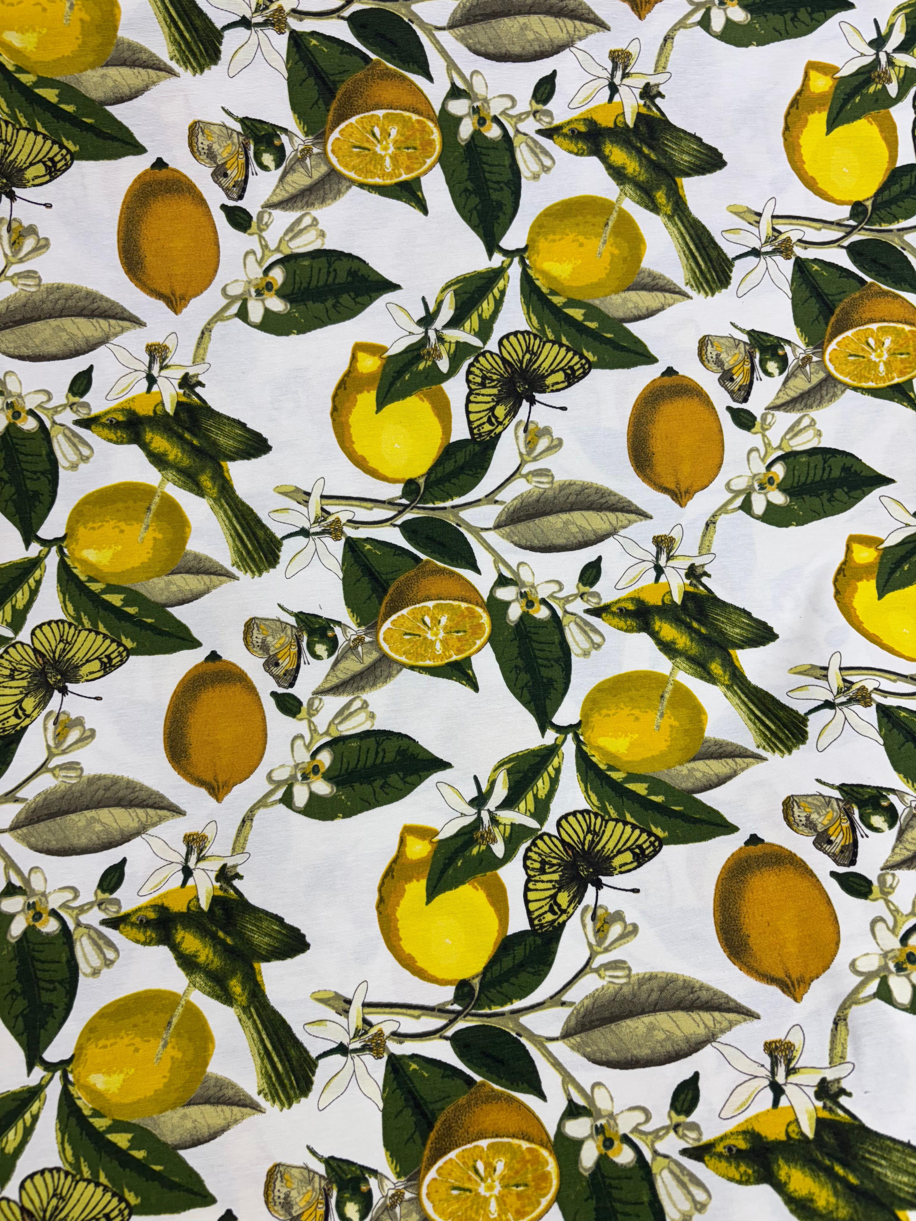 בד קנבס לימונים סגנון איטלקי