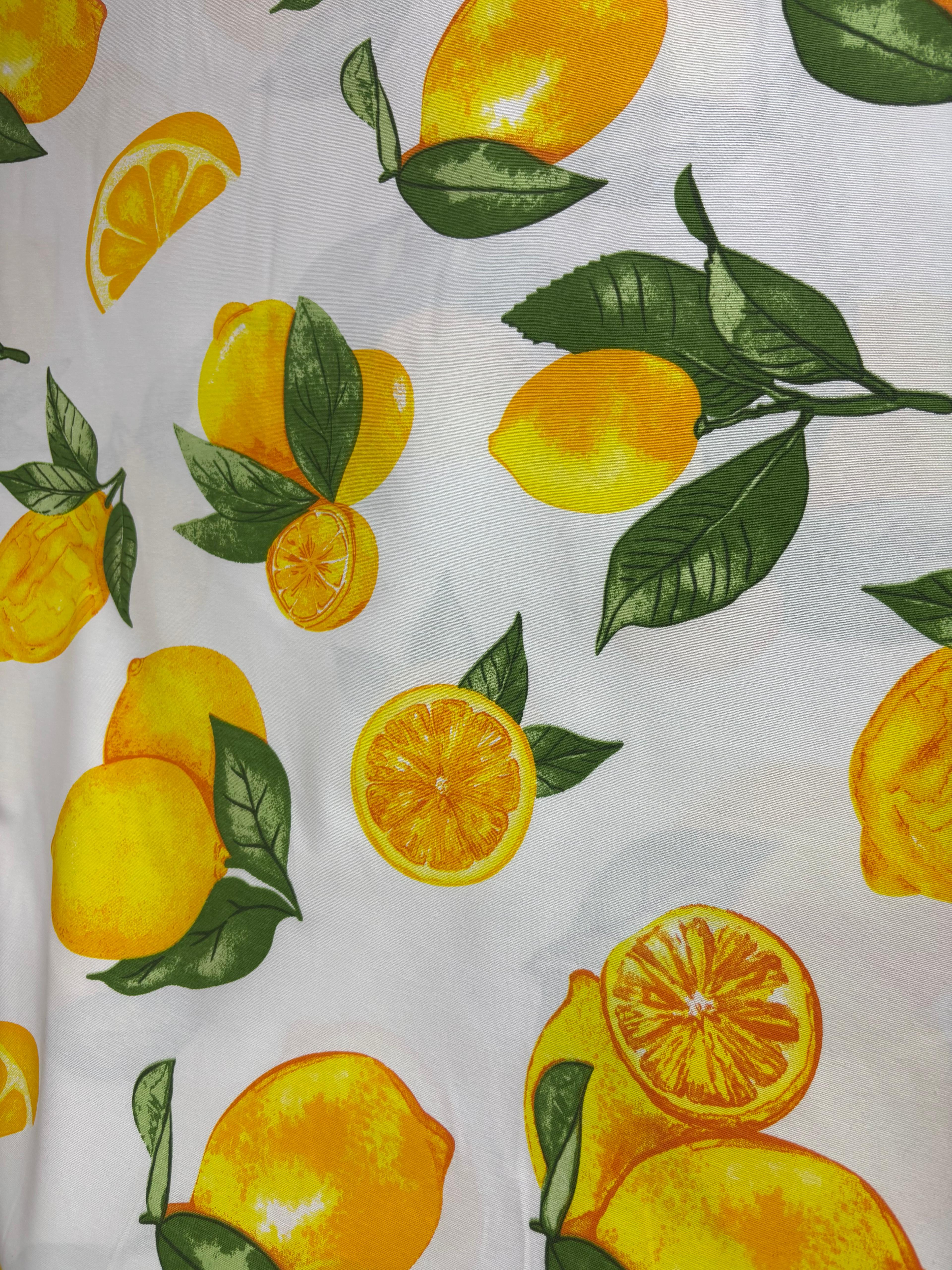 קנבס לימונים גדולים