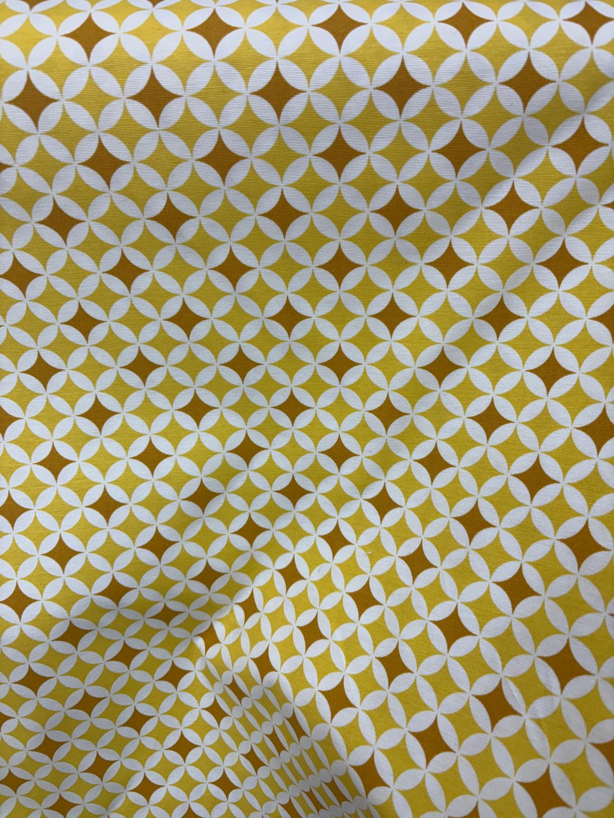 קנבס גאומטרי