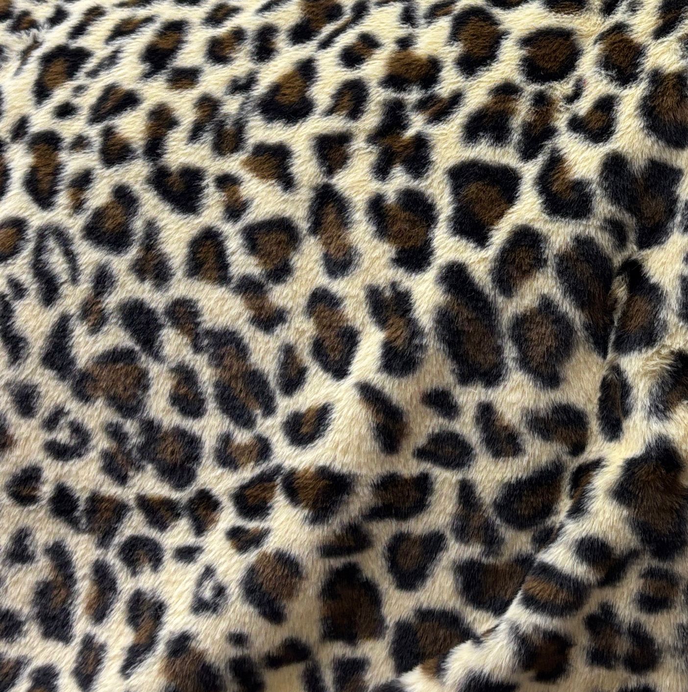 פרוה ג׳ונגל מנומר