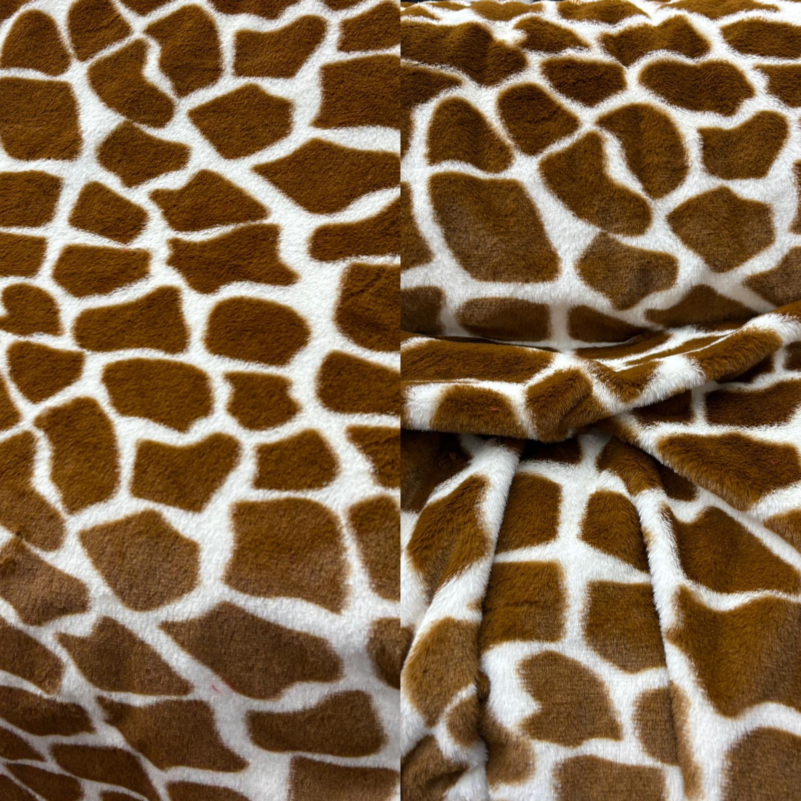 פרווה ג׳ונגל ג׳ירפה 