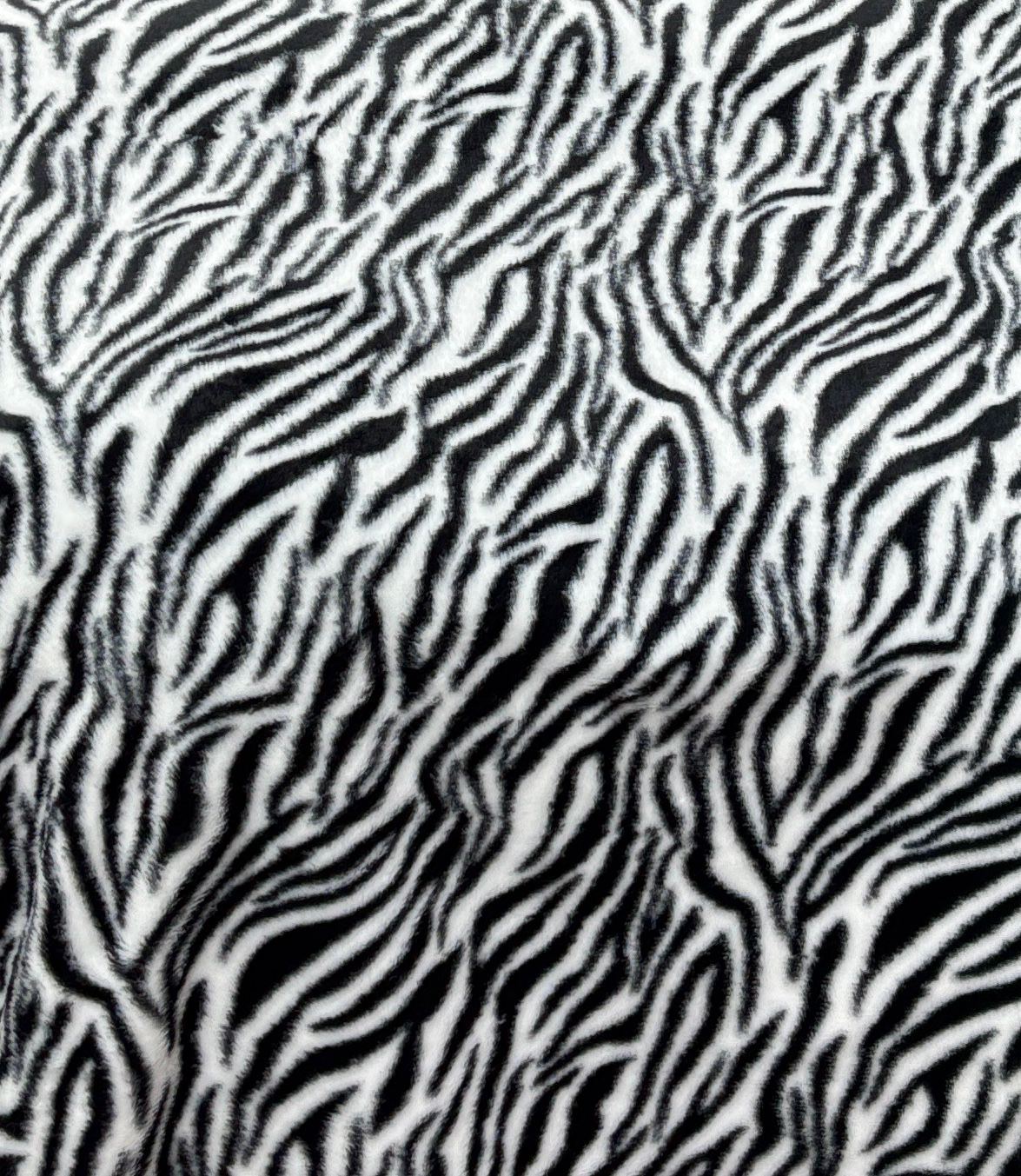 פרווה ג׳ונגל זברה